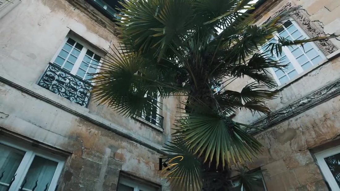Kimya au château
